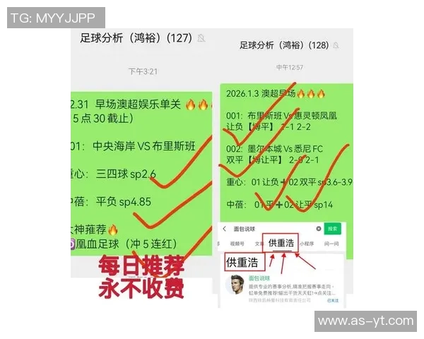 德甲最新动态每日更新关注球队转会消息与赛事分析