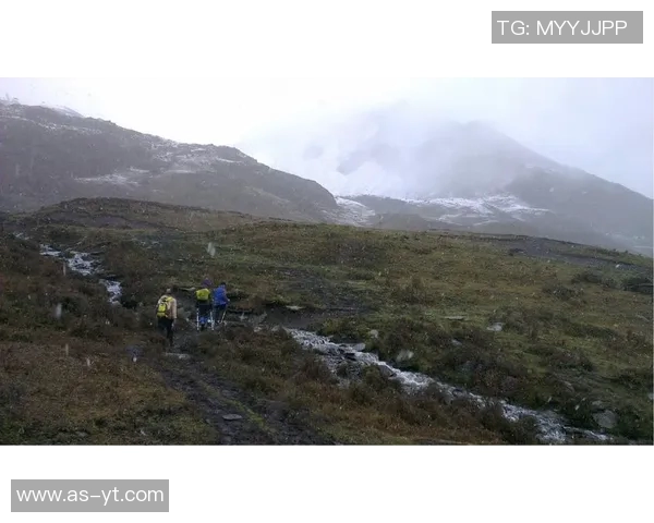 冰雪环境下转弯技巧的深入分析与实用建议